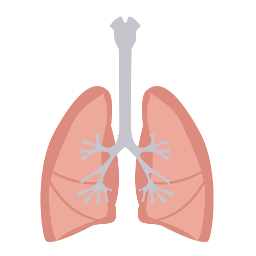 Tuberculosis check up